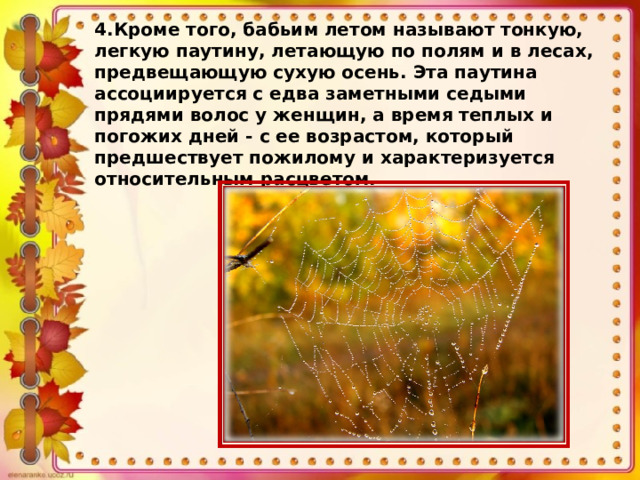 4.Кроме того, бабьим летом называют тонкую, легкую паутину, летающую по полям и в лесах, предвещающую сухую осень. Эта паутина ассоциируется с едва заметными седыми прядями волос у женщин, а время теплых и погожих дней - с ее возрастом, который предшествует пожилому и характеризуется относительным расцветом. 