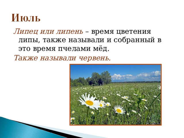 Липец или липень – время цветения липы, также называли и собранный в это время пчелами мёд. Также называли червень. 