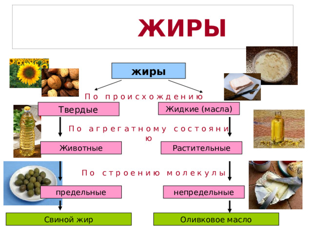 Урок-презентация "Жиры". Химия 10 класс.