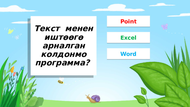 Point Текст менен иштөөгө арналган  колдонмо программа? Excel Word 
