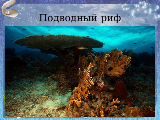 Подводный риф 