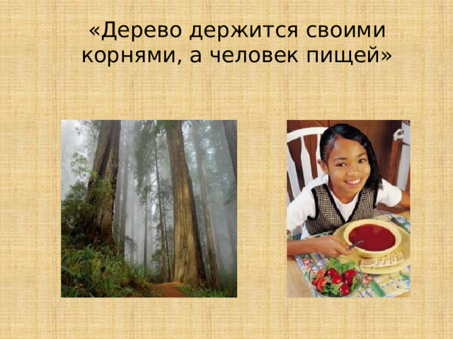 «Дерево держится своими корнями, а человек пищей»  