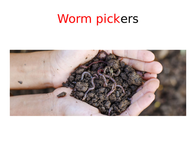 Worm  pick ers 