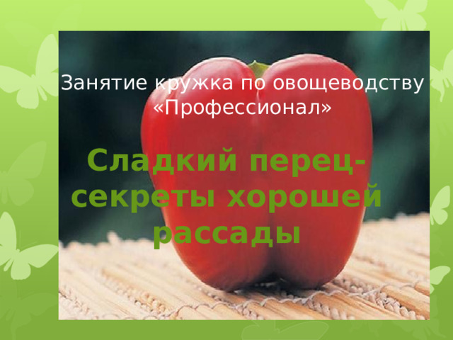 Занятие кружка по овощеводству «Профессионал» Сладкий перец- секреты хорошей рассады 