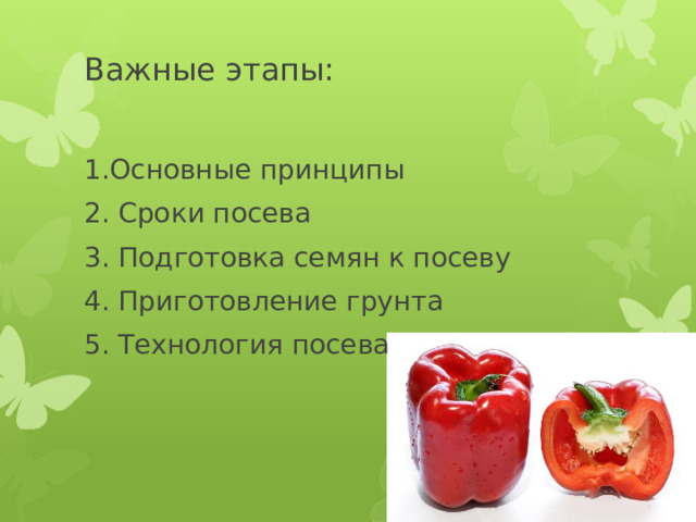 Важные этапы:   1.Основные принципы 2. Сроки посева 3. Подготовка семян к посеву 4. Приготовление грунта 5. Технология посева 