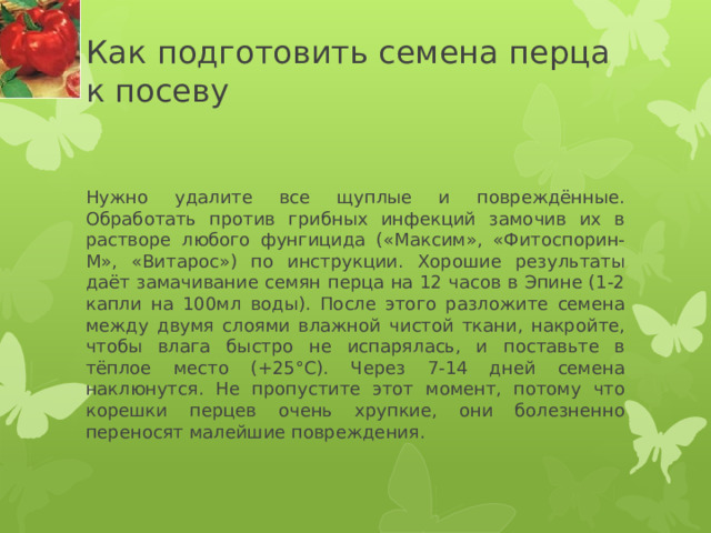 Как подготовить семена перца к посеву   Нужно удалите все щуплые и повреждённые. Обработать против грибных инфекций замочив их в растворе любого фунгицида («Максим», «Фитоспорин-М», «Витарос») по инструкции. Хорошие результаты даёт замачивание семян перца на 12 часов в Эпине (1-2 капли на 100мл воды). После этого разложите семена между двумя слоями влажной чистой ткани, накройте, чтобы влага быстро не испарялась, и поставьте в тёплое место (+25°С). Через 7-14 дней семена наклюнутся. Не пропустите этот момент, потому что корешки перцев очень хрупкие, они болезненно переносят малейшие повреждения. 