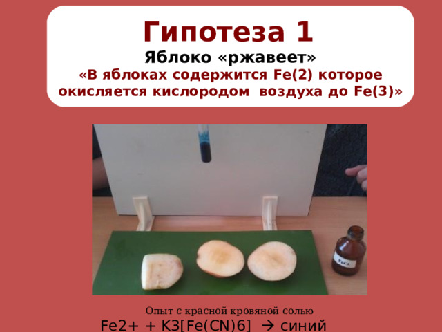 Гипотеза 1  Яблоко «ржавеет» «В яблоках содержится Fe( 2) которое окисляется кислородом воздуха до Fe (3)»  Опыт с красной кровяной солью Fe 2 + + K 3 [Fe(CN)6]   синий осадок 