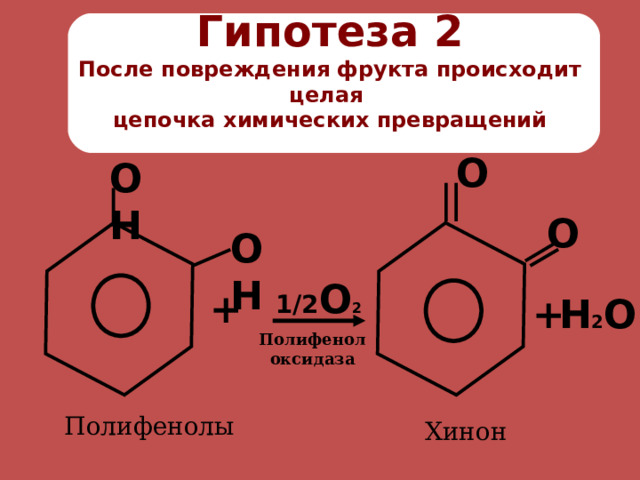 Гипотеза 2  После повреждения фрукта происходит целая  цепочка химических превращений О О Н О О Н 1/2 O 2 + + Н 2 О Полифенол оксидаза Полифенолы Хинон 