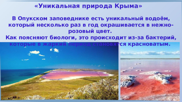 «Уникальная природа Крыма» В Опукском заповеднике есть уникальный водоём, который несколько раз в год окрашивается в нежно-розовый цвет. Как поясняют биологи, это происходит из-за бактерий, которые в жаркий период становятся красноватым. 