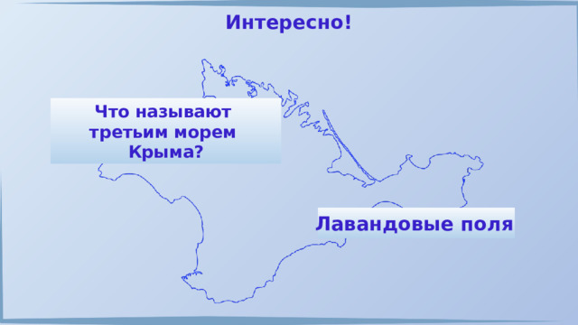 Интересно! Что называют третьим морем Крыма? Лавандовые поля  