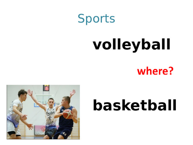 Sports volleyball   basketball 
