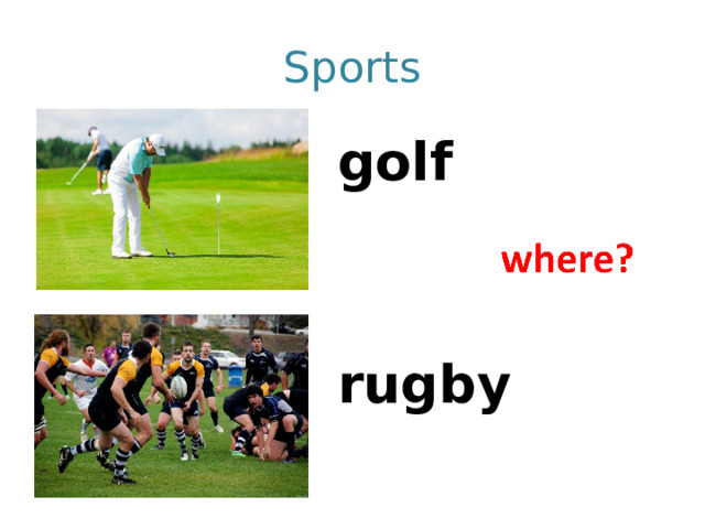 Sports golf   rugby 
