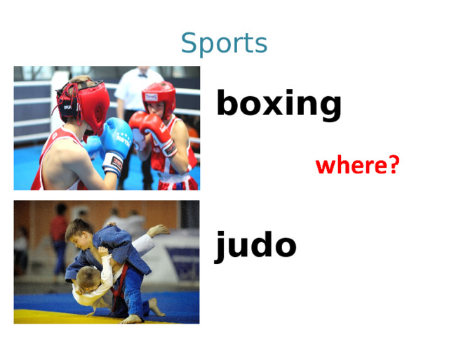 Sports boxing   judo 