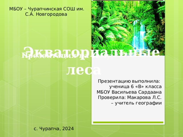 МБОУ – Чурапчинская СОШ им. С.А. Новгородова Презентация на тему:  Экваториальные леса Презентацию выполнила: ученица 6 «В» класса МБОУ Васильева Сардаана Проверила: Макарова Л.С. – учитель географии с. Чурапча, 2024 