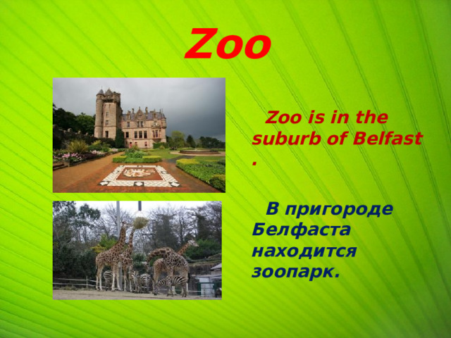 Zoo   Zoo is in the suburb of Belfast .   В пригороде Белфаста находится зоопарк.   