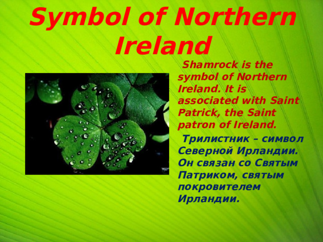 Symbol of Northern Ireland  Shamrock is the symbol of Northern Ireland. It is associated with Saint Patrick, the Saint patron of Ireland.  Трилистник – символ Северной Ирландии. Он связан со Святым Патриком, святым покровителем Ирландии.  
