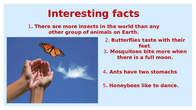 Interesting facts 1 . There are more insects in the world than any other group of animals on Earth. 2. Butterflies taste with their feet . 3 . Mosquitoes bite more when there is a full moon. 4 . Ants have two stomachs . 5 . Honeybees like to dance. 