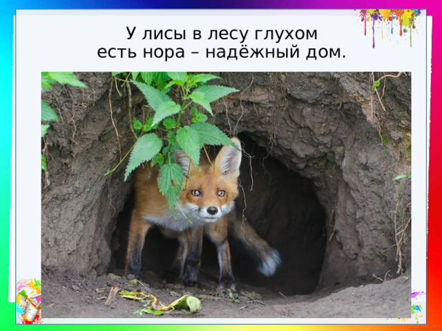 У лисы в лесу глухом  есть нора – надёжный дом. 