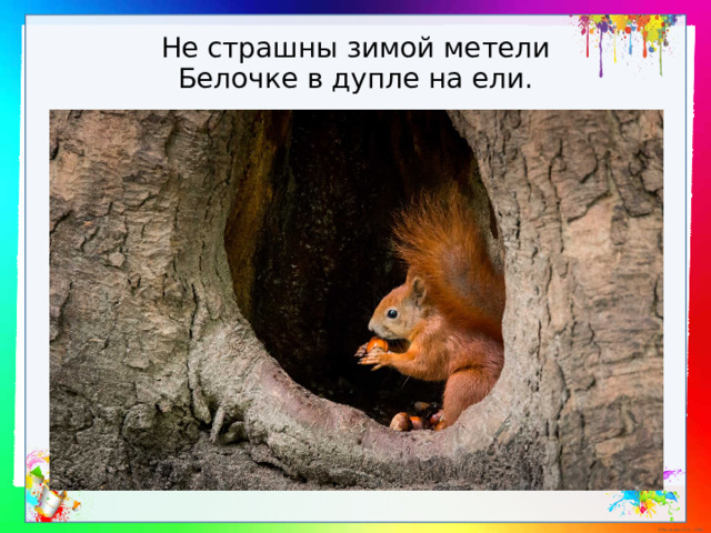Не страшны зимой метели  Белочке в дупле на ели. 
