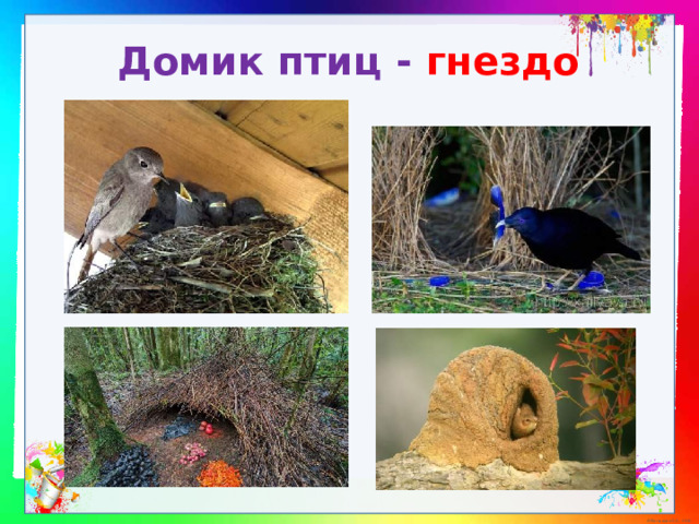 Домик птиц - гнездо 