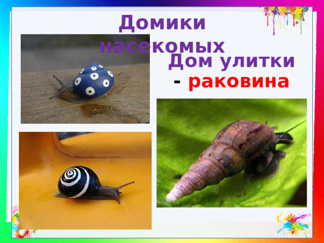 Домики насекомых Дом улитки - раковина 