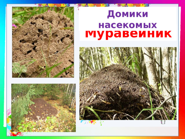 Домики насекомых Муравейник 