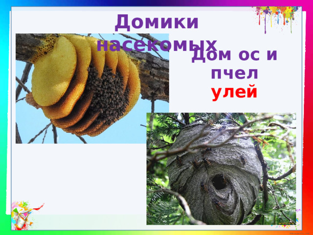 Домики насекомых Дом ос и пчел  улей 