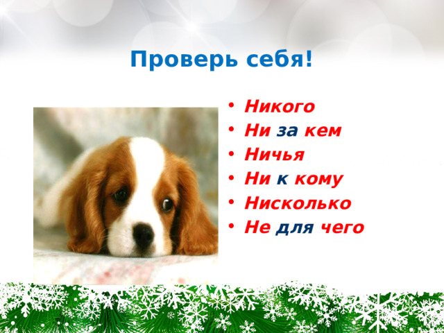 Проверь себя! Никого Ни за кем Ничья Ни к кому Нисколько Не для чего 