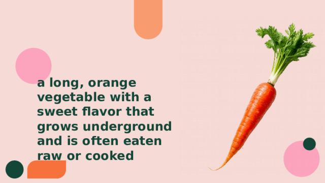 a long, orange vegetable with a sweet flavor that grows underground and is often eaten raw or cooked 