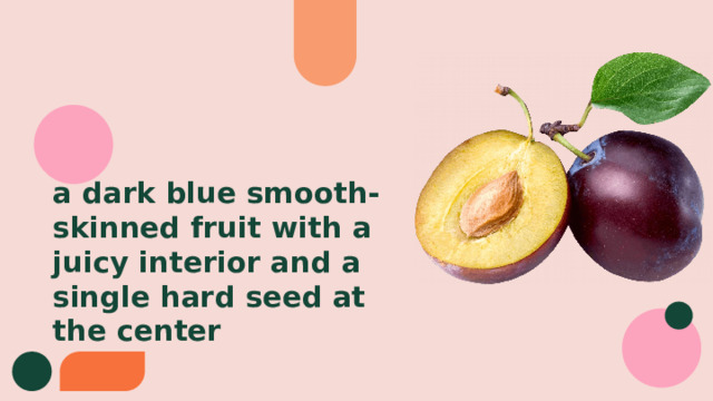 a dark blue smooth-skinned fruit with a juicy interior and a single hard seed at the center 