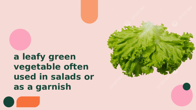 a leafy green vegetable often used in salads or as a garnish 
