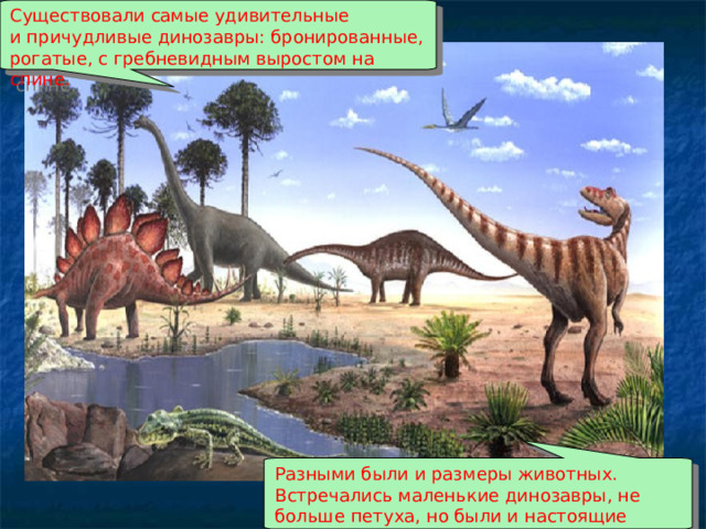 Существовали самые удивительные и причудливые динозавры: бронированные, рогатые, с гребневидным выростом на спине. Разными были и размеры животных. Встречались маленькие динозавры, не больше петуха, но были и настоящие гиганты. 