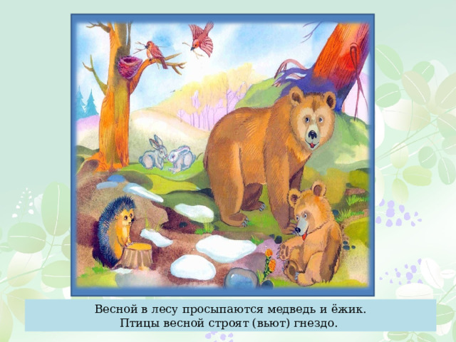 Весной в лесу просыпаются медведь и ёжик. Птицы весной строят (вьют) гнездо. 