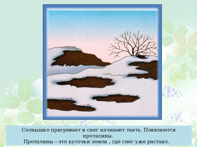 Солнышко пригревает и снег начинает таять. Появляются проталины. Проталины – это кусочки земли , где снег уже растаял. 