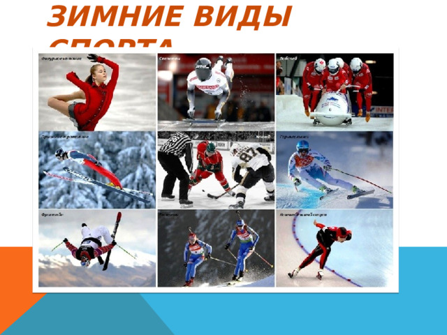 ЗИМНИЕ ВИДЫ СПОРТА 