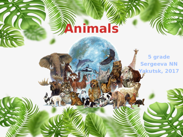 Animals 5 grade Sergeeva NN Yakutsk, 2017 