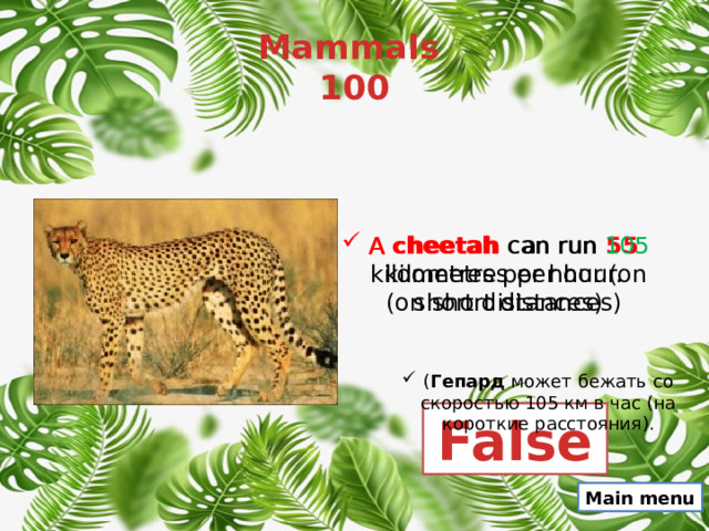 Mammals  100 A  cheetah   can run  55 kilometres per hour. A  cheetah   can run  105 kilometres per hour.(on short distances) (on short distances) ( Гепард  может бежать со скоростью 105 км в час (на короткие расстояния). False Main menu 