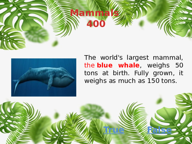 Mammals  400 The world's largest mammal, the  blue whale , weighs 50 tons at birth. Fully grown, it weighs as much as 150 tons. False True 