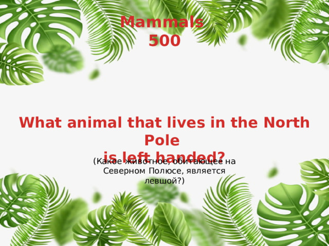 Mammals  500 What animal that lives in the North Pole is left handed? (Какое животное, обитающее на Северном Полюсе, является левшой?) 