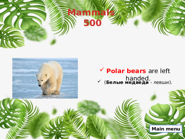 Mammals  500 Polar bears  are left handed. ( Белые медведи  - левши). Main menu 