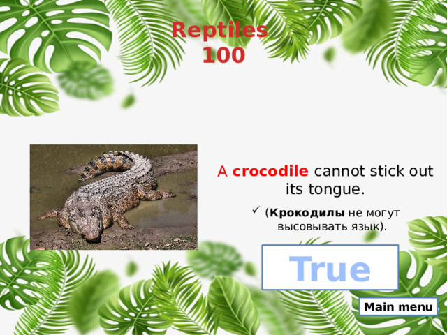 Reptiles  100 A  crocodile   cannot stick out its tongue. ( Крокодилы  не могут высовывать язык). True Main menu 