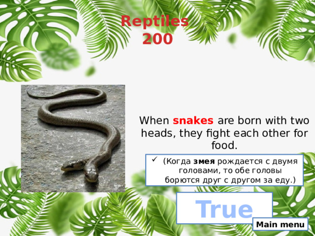 Reptiles  200 When  snakes   are born with two heads, they fight each other for food. (Когда змея рождается с двумя головами, то обе головы борются друг с другом за еду.) True Main menu 