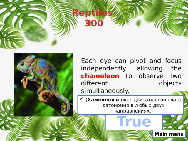 Reptiles  300 Each eye can pivot and focus independently, allowing the chameleon to observe two different objects simultaneously.  ( Хамелеон может двигать свои глаза автономно в любых двух направлениях.) True Main menu 
