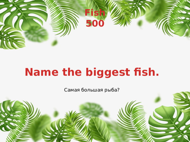 Fish  500 Name the biggest fish. Самая большая рыба? 