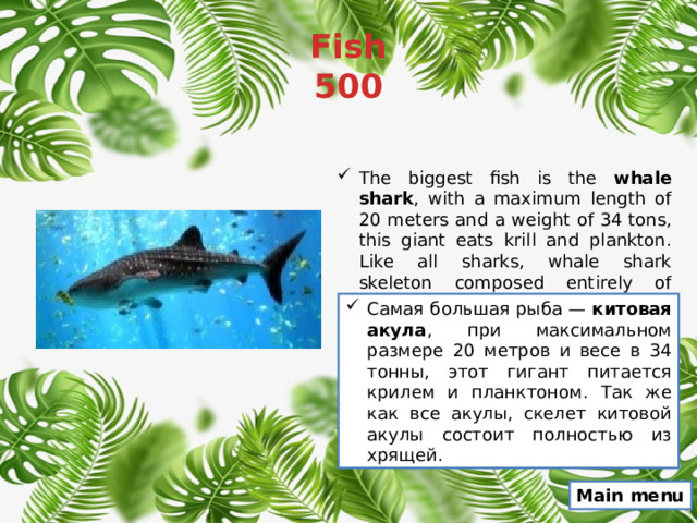 Fish  500 The biggest fish is the whale shark , with a maximum length of 20 meters and a weight of 34 tons, this giant eats krill and plankton. Like all sharks, whale shark skeleton composed entirely of cartilage. Самая большая рыба — китовая акула , при максимальном размере 20 метров и весе в 34 тонны, этот гигант питается крилем и планктоном. Так же как все акулы, скелет китовой акулы состоит полностью из хрящей. Main menu 