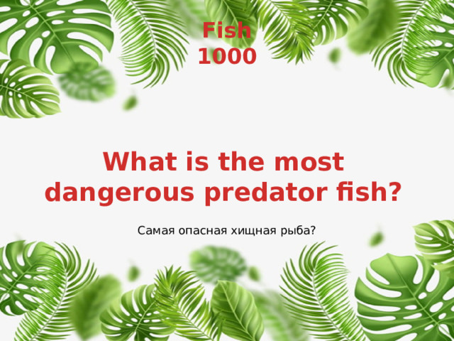 Fish  1000 What is the most dangerous predator fish? Самая опасная хищная рыба? 