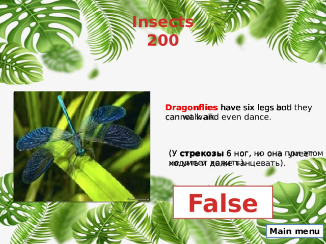 Insects  200 Dragonflies  have six legs and they can walk and even dance. Dragonflies  have six legs but cannot walk. (У  стрекозы  6 ног, но она при этом не умеет ходить). (У  стрекозы  6 ног, и она умеет ходить и даже танцевать). False Main menu 