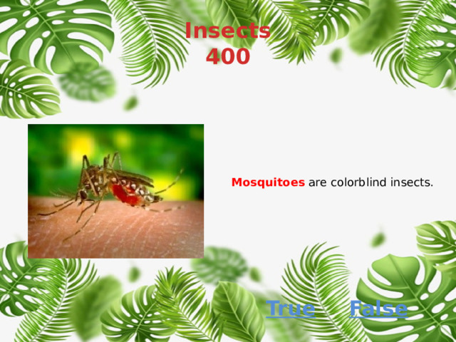 Insects  400 Mosquitoes  are colorblind insects. True False 