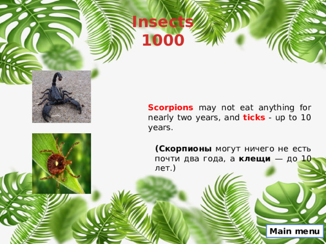 Insects  1000 Scorpions may not eat anything for nearly two years, and ticks - up to 10 years. (Скорпионы могут ничего не есть почти два года, а клещи — до 10 лет.) Main menu 