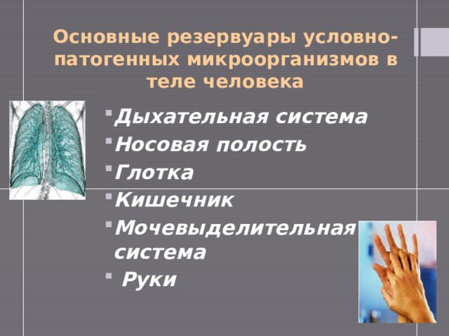 Основные резервуары условно-патогенных микроорганизмов в теле человека Дыхательная система  Носовая полость Глотка Кишечник Мочевыделительная система  Руки   